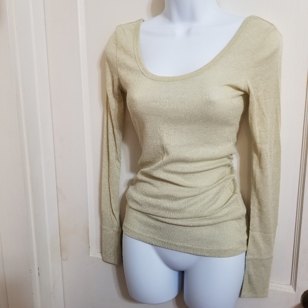 Sheet Metallic Long Sleeve Top
